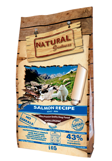 receta-salmon